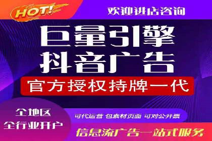 科技公司SEM外包战略的案例研究