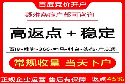 实战技巧：竞价推广案例解析与优化策略